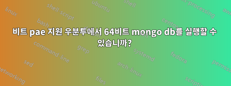 32비트 pae 지원 우분투에서 64비트 mongo db를 실행할 수 있습니까?