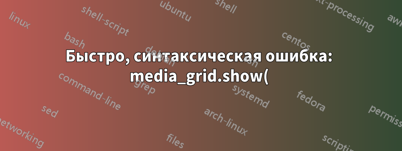 Быстро, синтаксическая ошибка: media_grid.show()