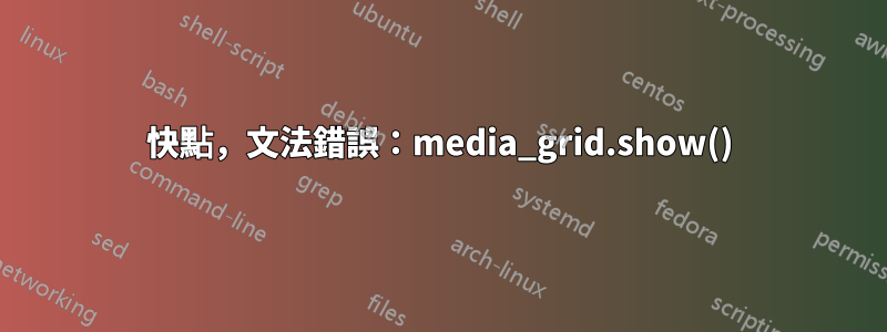 快點，文法錯誤：media_grid.show()
