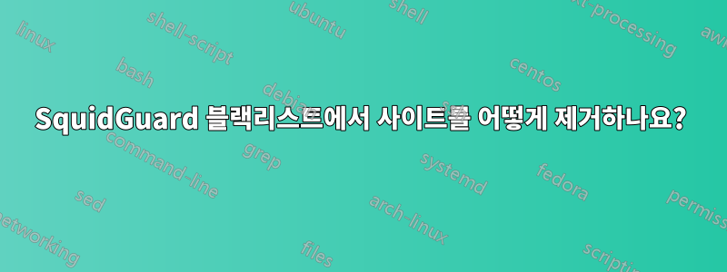 SquidGuard 블랙리스트에서 사이트를 어떻게 제거하나요?
