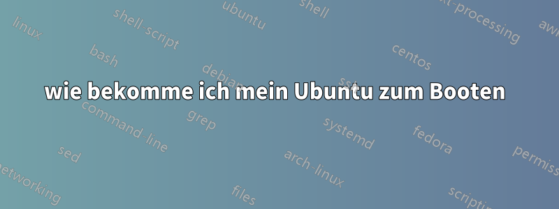 wie bekomme ich mein Ubuntu zum Booten 