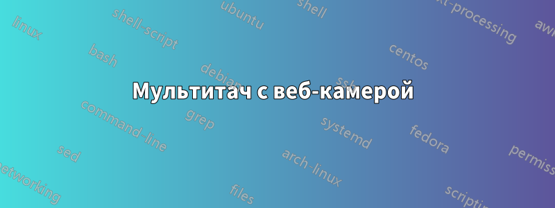 Мультитач с веб-камерой 