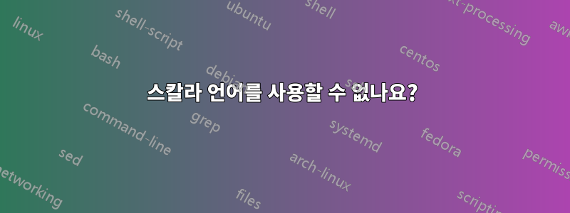 스칼라 언어를 사용할 수 없나요?