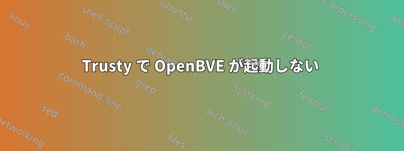 Trusty で OpenBVE が起動しない