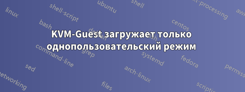 KVM-Guest загружает только однопользовательский режим