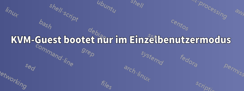 KVM-Guest bootet nur im Einzelbenutzermodus