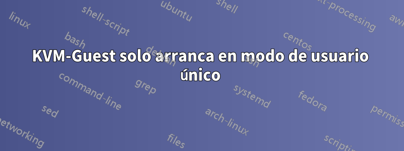 KVM-Guest solo arranca en modo de usuario único