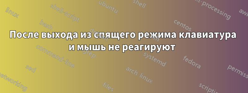 После выхода из спящего режима клавиатура и мышь не реагируют 