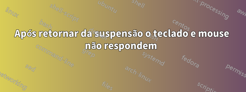 Após retornar da suspensão o teclado e mouse não respondem 