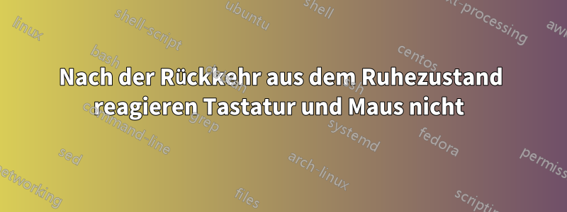 Nach der Rückkehr aus dem Ruhezustand reagieren Tastatur und Maus nicht 