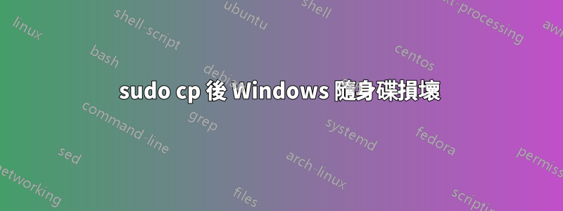 sudo cp 後 Windows 隨身碟損壞