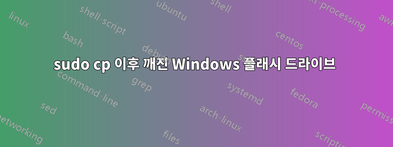 sudo cp 이후 깨진 Windows 플래시 드라이브