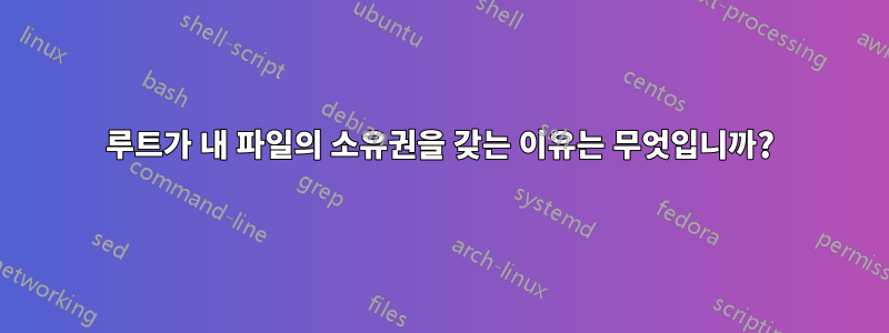 루트가 내 파일의 소유권을 갖는 이유는 무엇입니까?