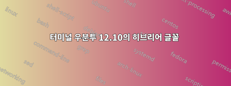 터미널 우분투 12.10의 히브리어 글꼴