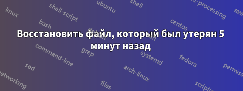 Восстановить файл, который был утерян 5 минут назад