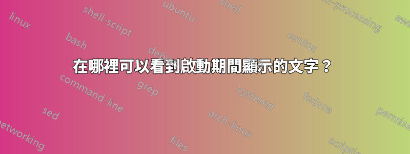 在哪裡可以看到啟動期間顯示的文字?