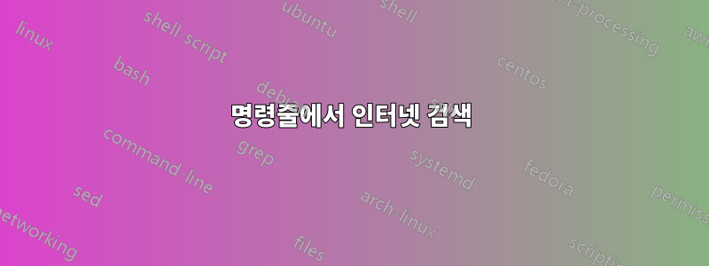 명령줄에서 인터넷 검색