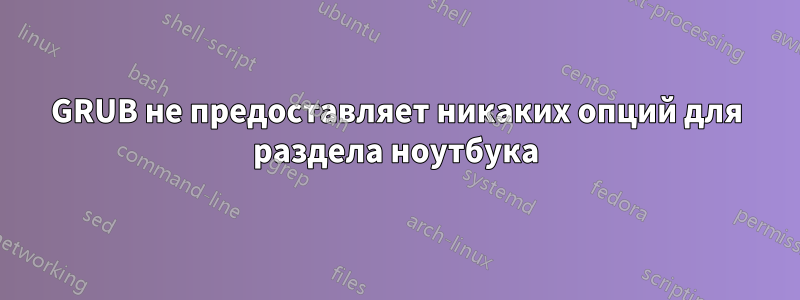 GRUB не предоставляет никаких опций для раздела ноутбука