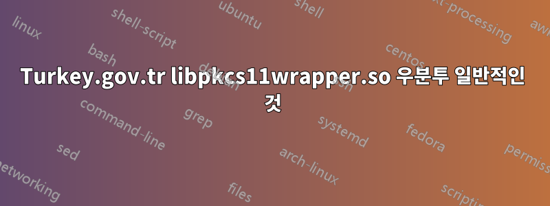 Turkey.gov.tr ​​libpkcs11wrapper.so 우분투 일반적인 것
