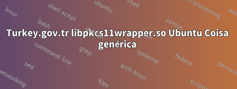 Turkey.gov.tr ​​libpkcs11wrapper.so Ubuntu Coisa genérica