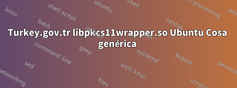Turkey.gov.tr libpkcs11wrapper.so Ubuntu Cosa genérica