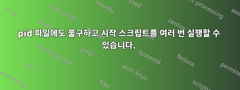 pid 파일에도 불구하고 시작 스크립트를 여러 번 실행할 수 있습니다.