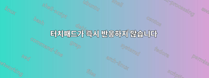 터치패드가 즉시 반응하지 않습니다