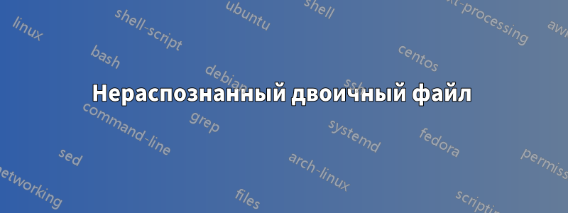 Нераспознанный двоичный файл