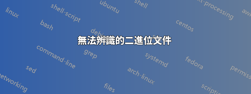 無法辨識的二進位文件