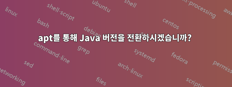apt를 통해 Java 버전을 전환하시겠습니까?