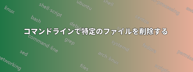 コマンドラインで特定のファイルを削除する