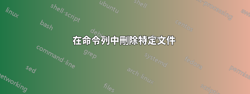 在命令列中刪除特定文件