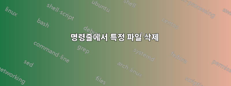 명령줄에서 특정 파일 삭제