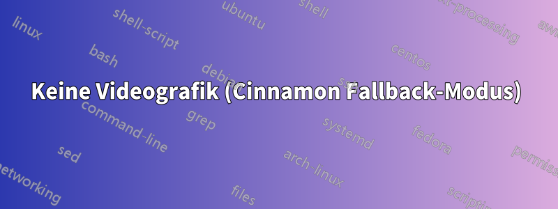 Keine Videografik (Cinnamon Fallback-Modus)