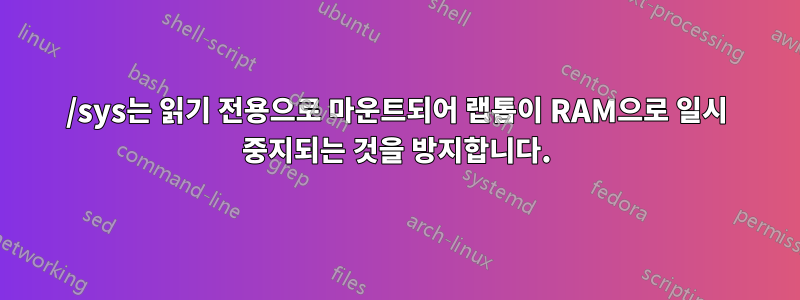 /sys는 읽기 전용으로 마운트되어 랩톱이 RAM으로 일시 중지되는 것을 방지합니다.