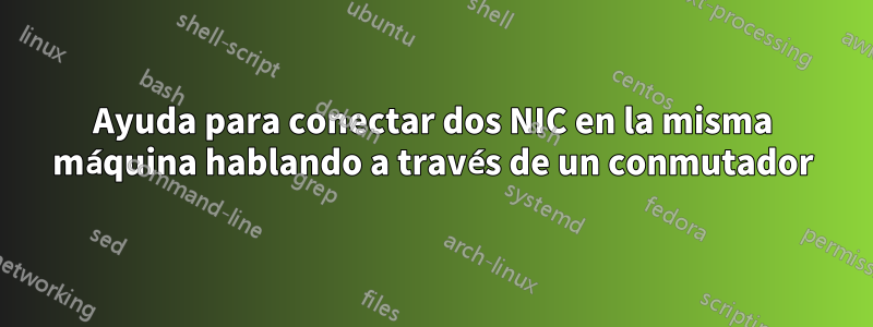 Ayuda para conectar dos NIC en la misma máquina hablando a través de un conmutador