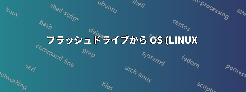 フラッシュドライブから OS (LINUX) をインストールしようとする