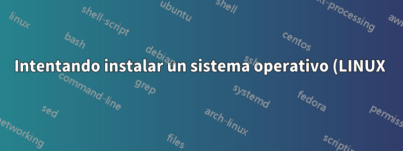Intentando instalar un sistema operativo (LINUX) desde una unidad flash