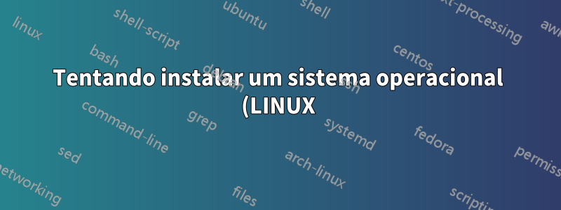 Tentando instalar um sistema operacional (LINUX) a partir de uma unidade flash