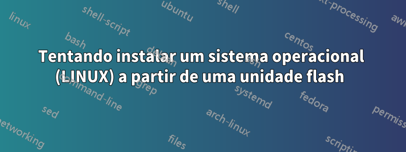 Tentando instalar um sistema operacional (LINUX) a partir de uma unidade flash 
