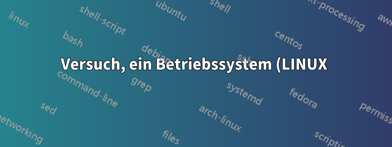 Versuch, ein Betriebssystem (LINUX) von einem Flash-Laufwerk zu installieren