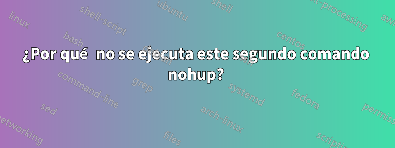 ¿Por qué no se ejecuta este segundo comando nohup?