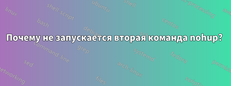Почему не запускается вторая команда nohup?