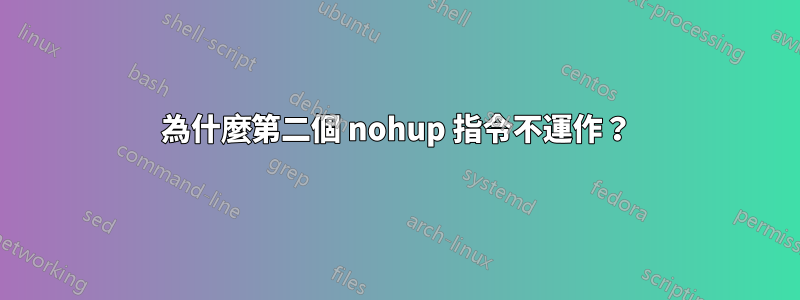 為什麼第二個 nohup 指令不運作？