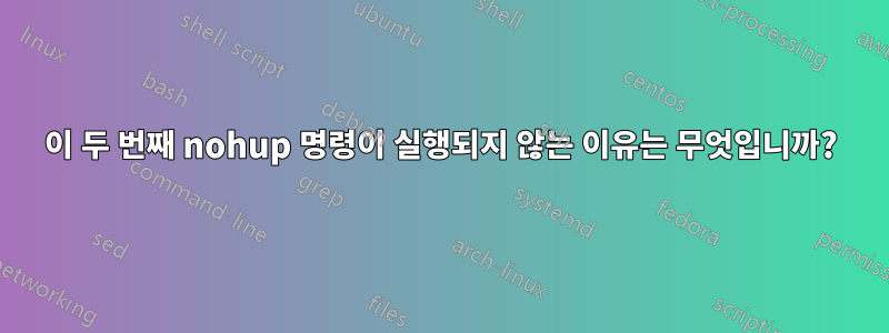 이 두 번째 nohup 명령이 실행되지 않는 이유는 무엇입니까?