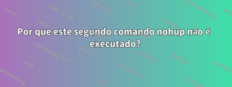 Por que este segundo comando nohup não é executado?