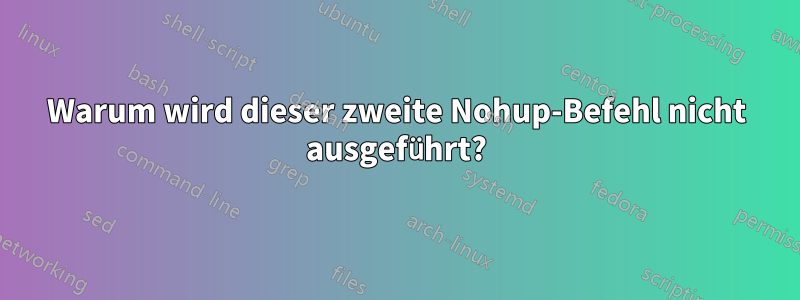 Warum wird dieser zweite Nohup-Befehl nicht ausgeführt?