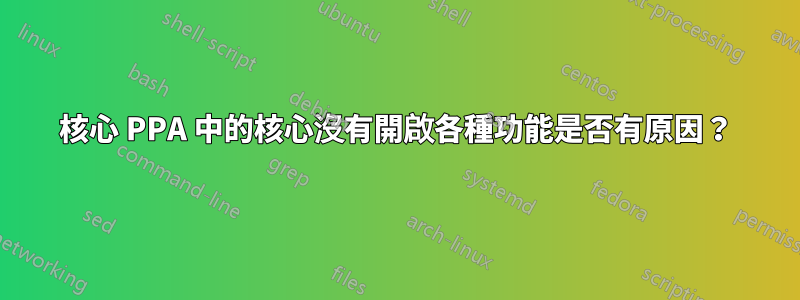 核心 PPA 中的核心沒有開啟各種功能是否有原因？