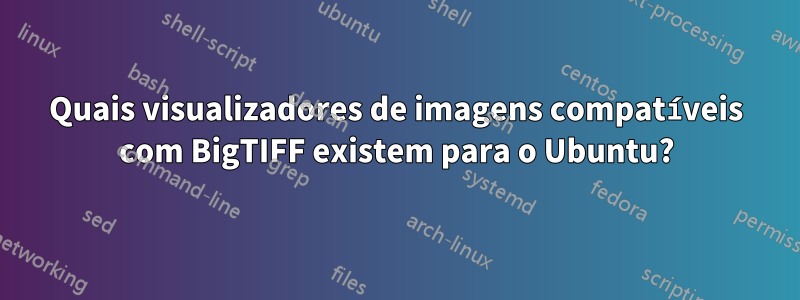 Quais visualizadores de imagens compatíveis com BigTIFF existem para o Ubuntu?