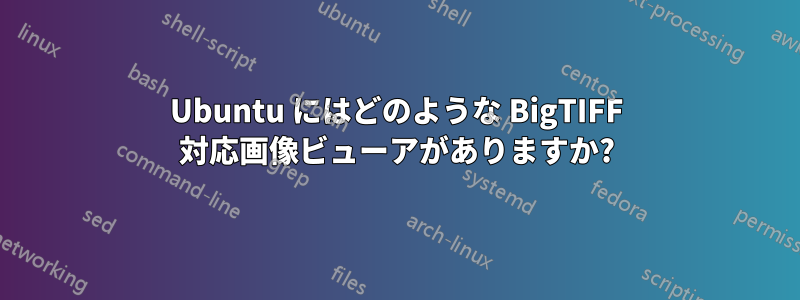 Ubuntu にはどのような BigTIFF 対応画像ビューアがありますか?